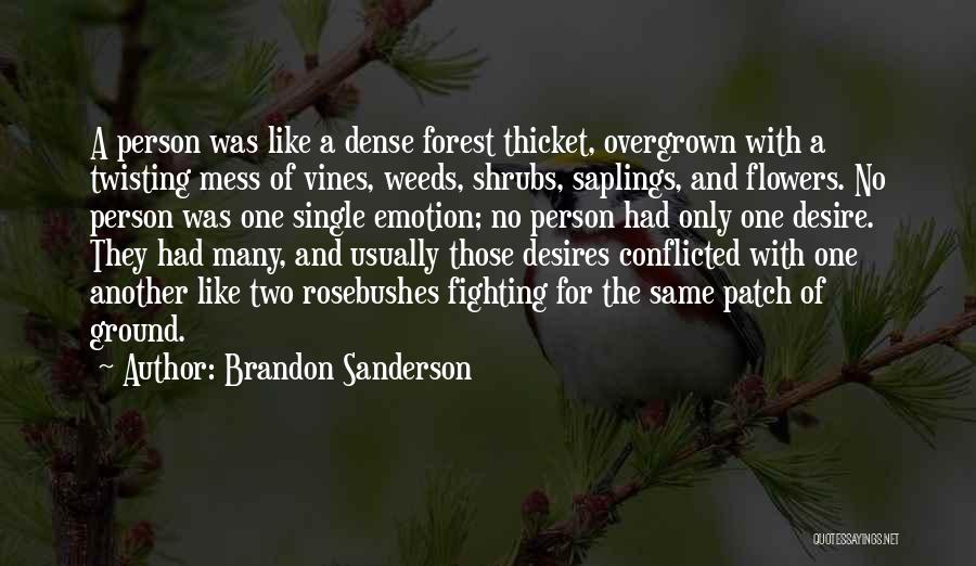 Dense Forest Quotes By Brandon Sanderson
