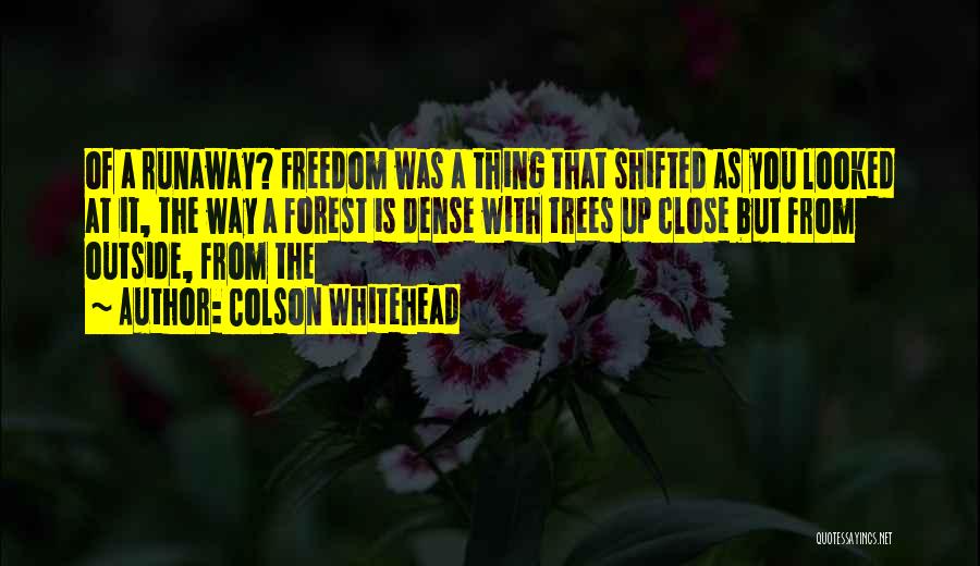Dense Forest Quotes By Colson Whitehead