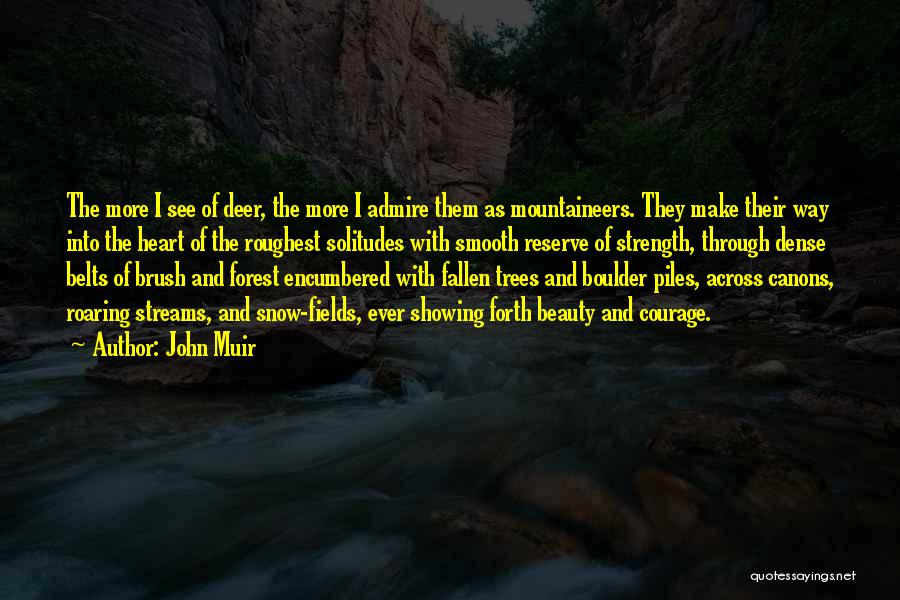 Dense Forest Quotes By John Muir