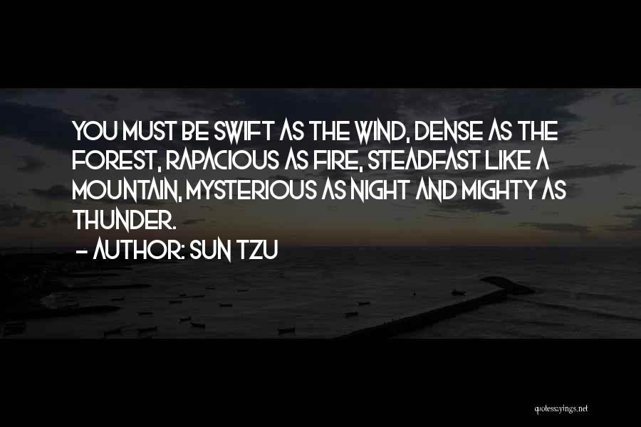 Dense Forest Quotes By Sun Tzu
