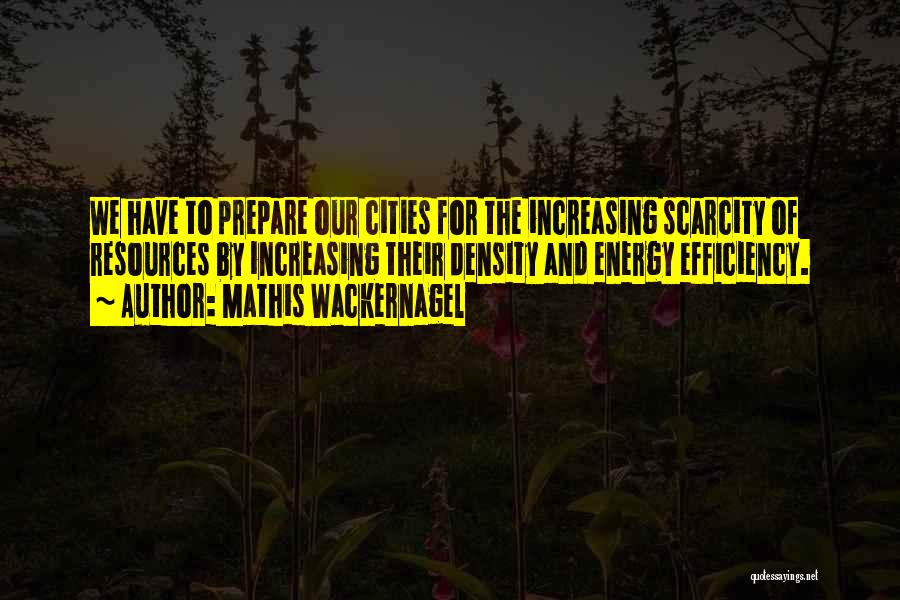 Density Quotes By Mathis Wackernagel