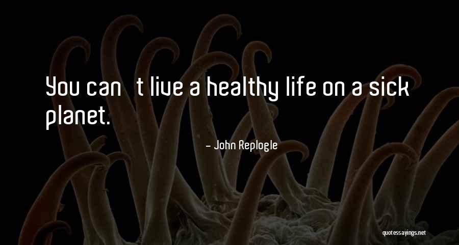 Dentes De Rato Quotes By John Replogle