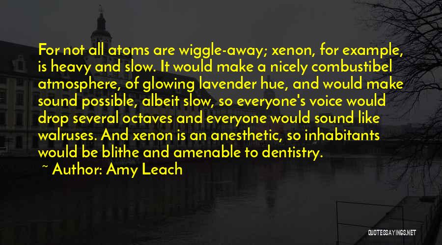 Dentistry Quotes By Amy Leach