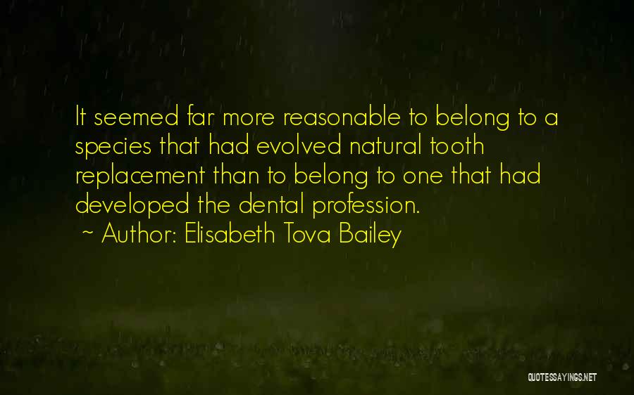 Dentistry Quotes By Elisabeth Tova Bailey