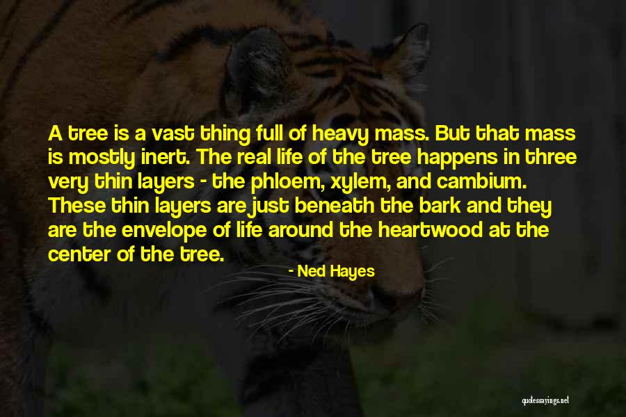 Denver Bronco Fan Quotes By Ned Hayes Denver Bronco Fan Quotes By Ned Hayes