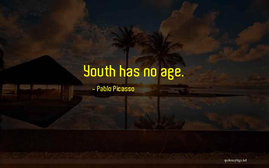 Denview Quotes By Pablo Picasso Denview Quotes By Pablo Picasso