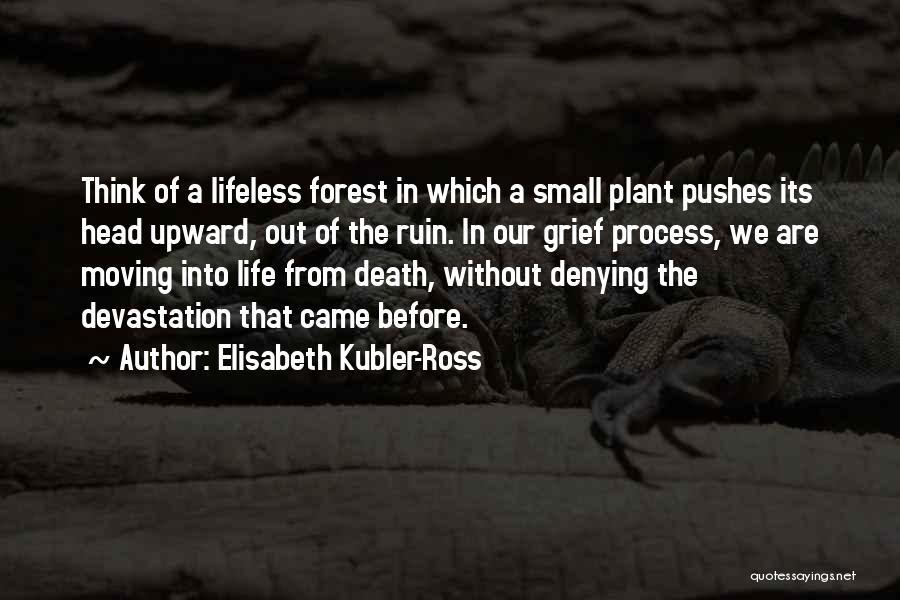 Denying The Past Quotes By Elisabeth Kubler-Ross