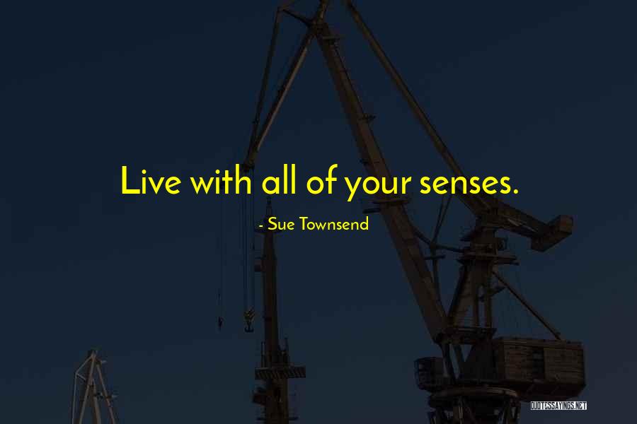 Deosebitsoft Quotes By Sue Townsend Deosebitsoft Quotes By Sue Townsend