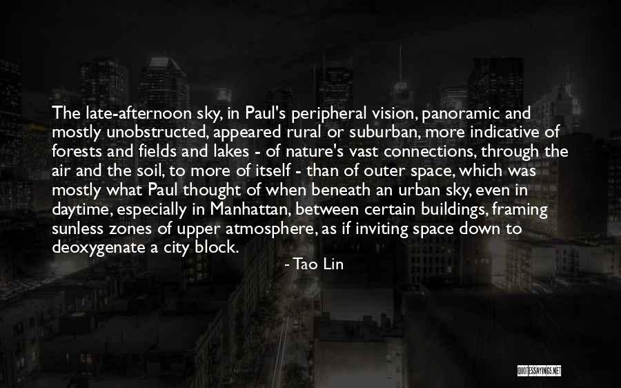 Deoxygenate Quotes By Tao Lin Deoxygenate Quotes By Tao Lin