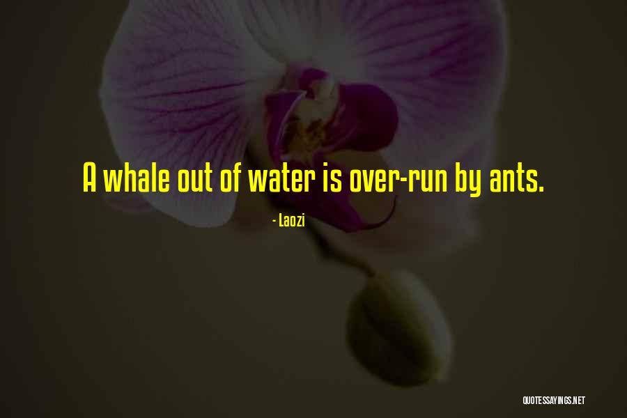 Deparangside Quotes By Laozi Deparangside Quotes By Laozi