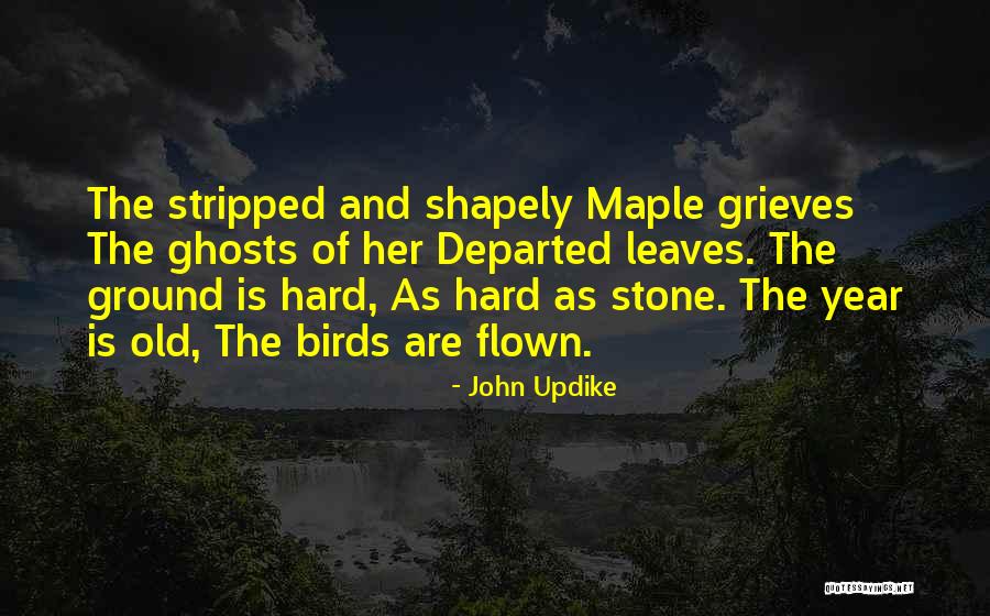 Departed Quotes By John Updike