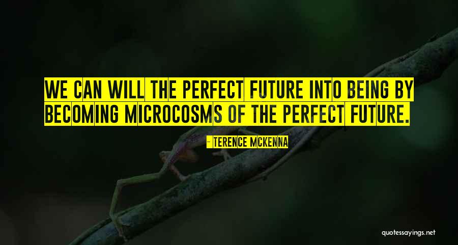 Departements Petite Quotes By Terence McKenna Departements Petite Quotes By Terence McKenna