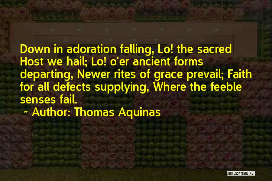 Departing Quotes By Thomas Aquinas