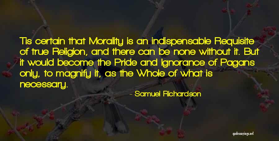 Departmentalized Elementary Quotes By Samuel Richardson