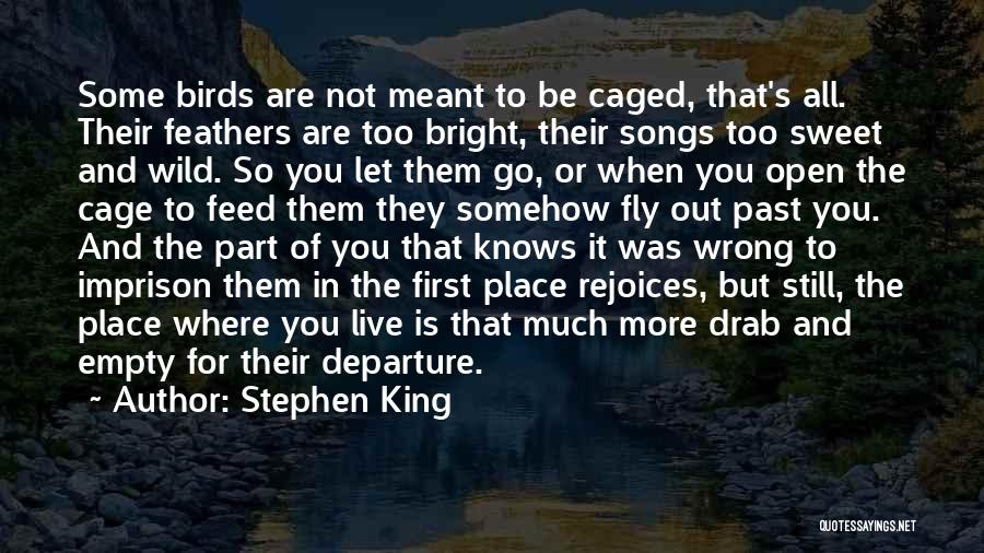 Departure Of Friends Quotes By Stephen King