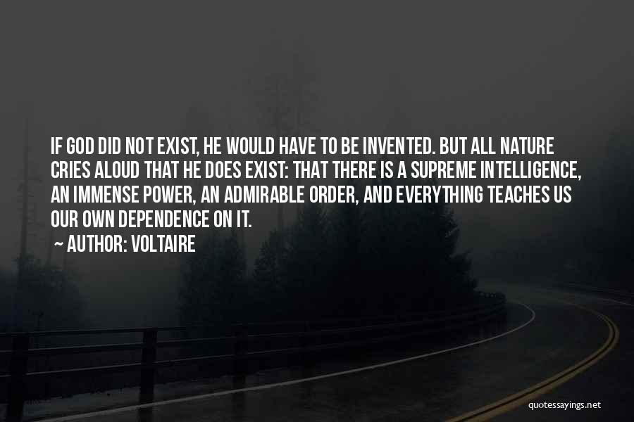 Dependence On God Quotes By Voltaire