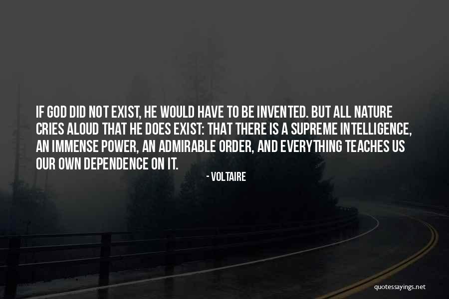 Dependence On God Quotes By Voltaire