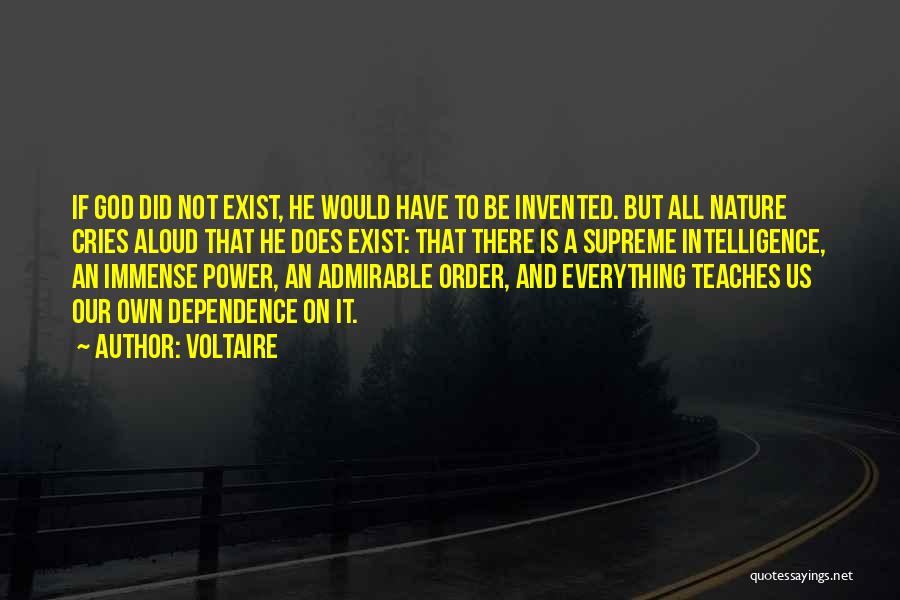 Dependence Power Quotes By Voltaire