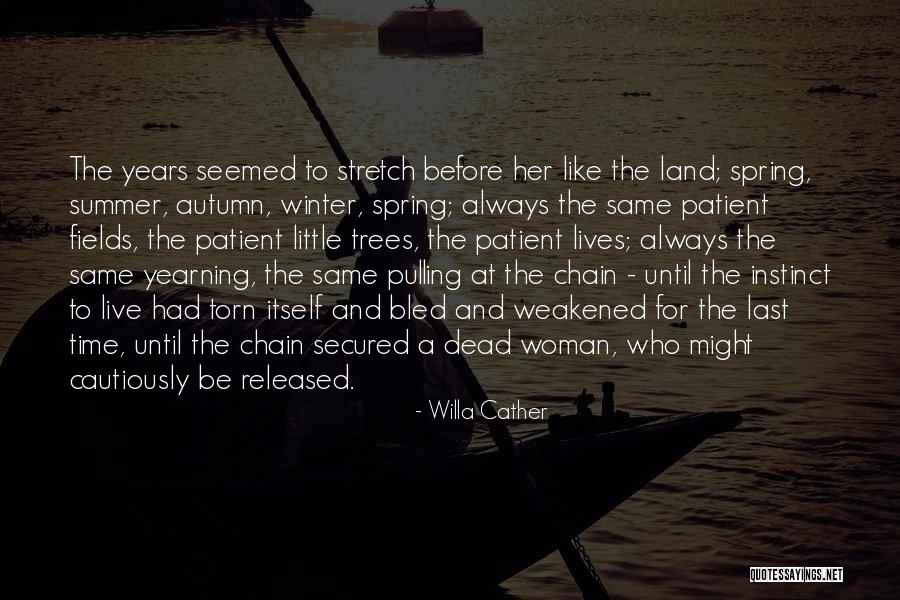 Dependencies Vs Devdependencies Quotes By Willa Cather Dependencies Vs Devdependencies Quotes By Willa Cather