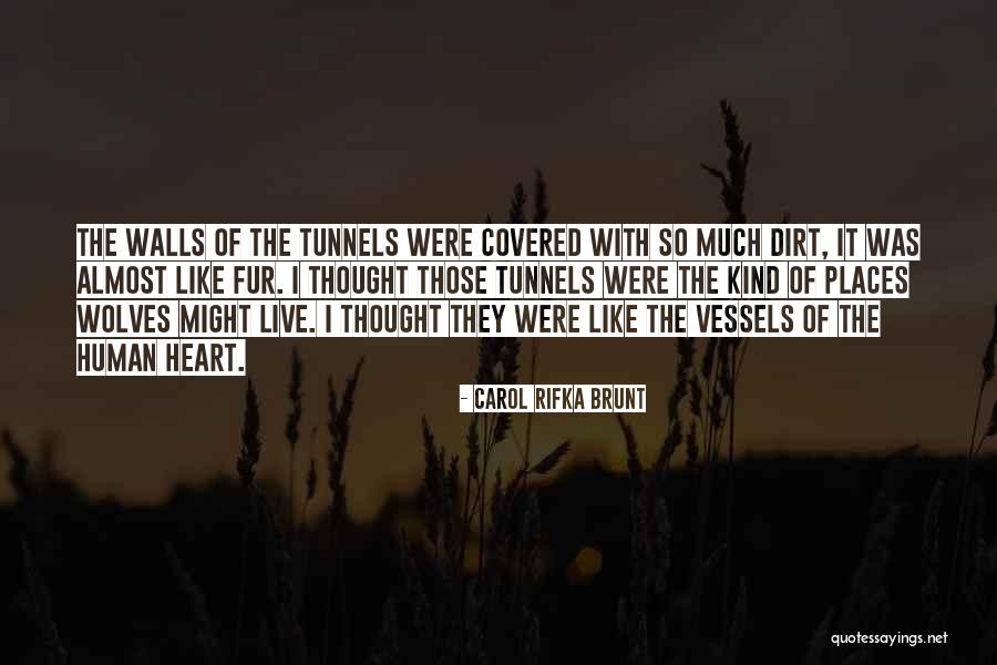 Dependente Midian Quotes By Carol Rifka Brunt Dependente Midian Quotes By Carol Rifka Brunt