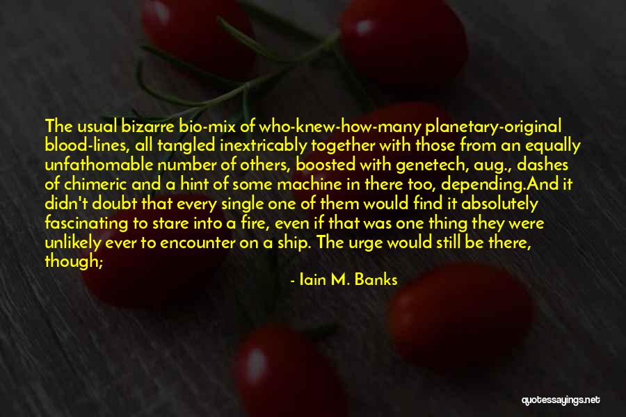 Depending On Others Quotes By Iain M. Banks