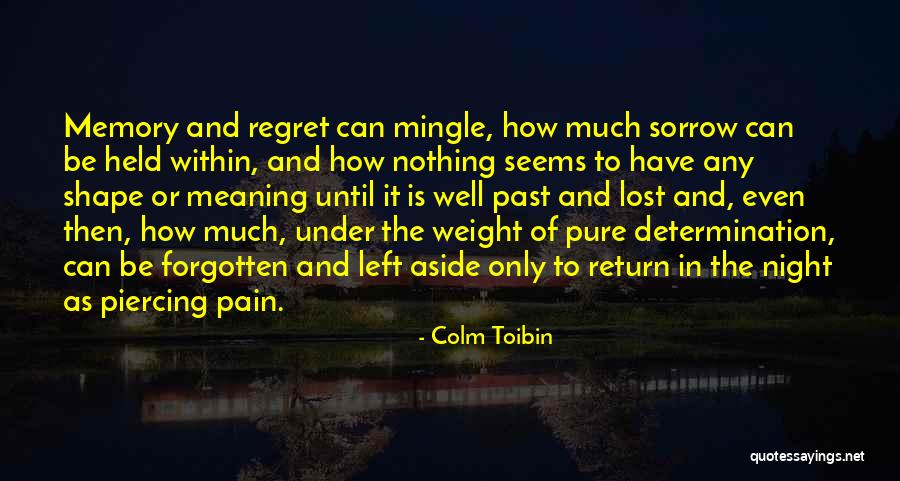 Depierro Development Quotes By Colm Toibin Depierro Development Quotes By Colm Toibin