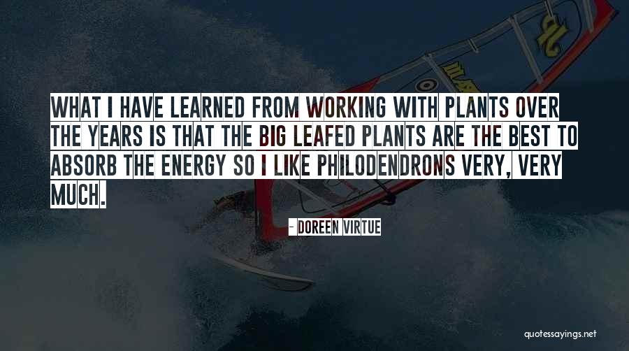 Depina Family Association Quotes By Doreen Virtue Depina Family Association Quotes By Doreen Virtue