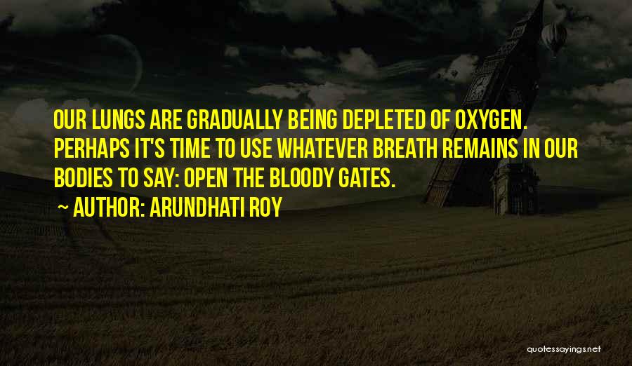 Depleted Quotes By Arundhati Roy