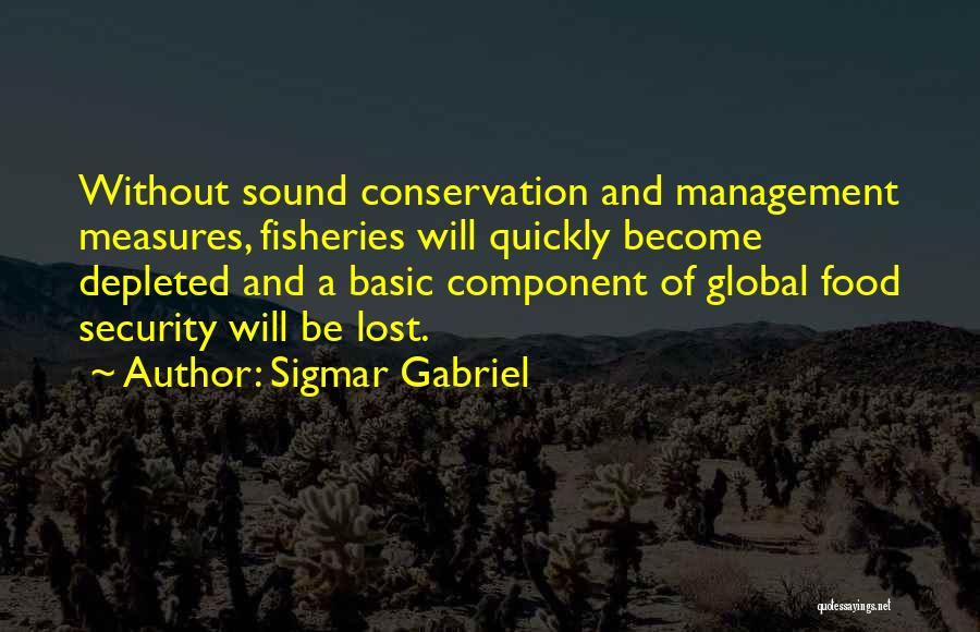 Depleted Quotes By Sigmar Gabriel