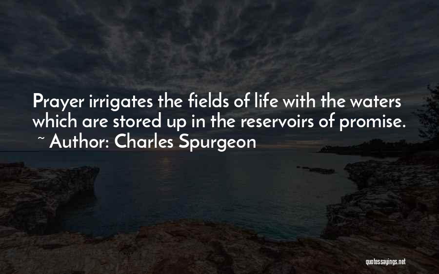Deployments Quotes By Charles Spurgeon