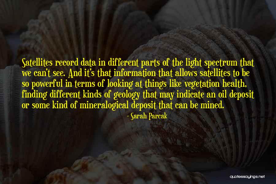Deposit Quotes By Sarah Parcak Deposit Quotes By Sarah Parcak