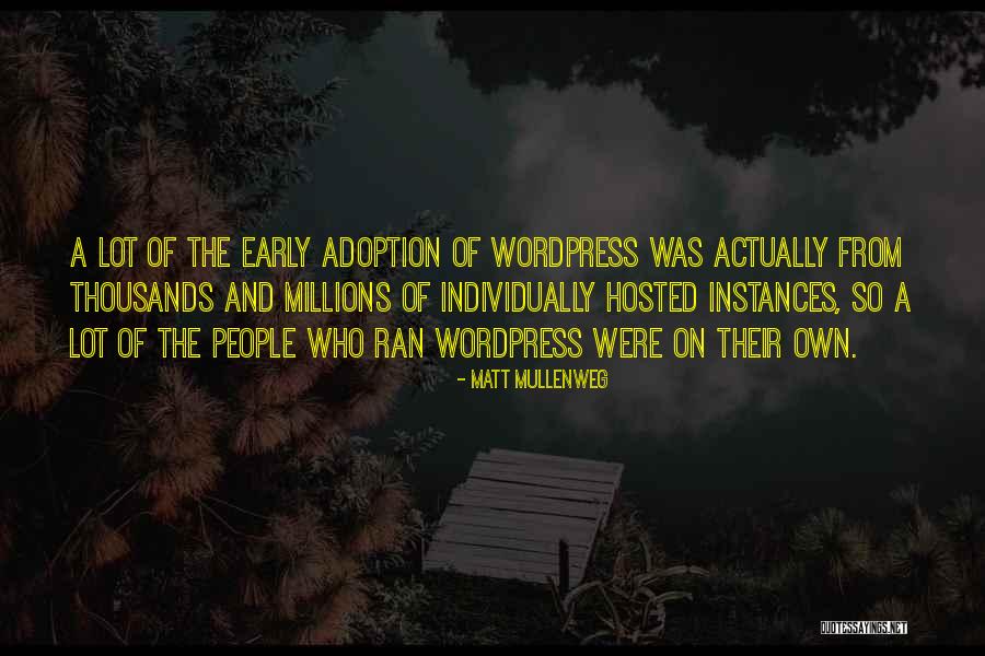 Depraetere Hannes Quotes By Matt Mullenweg Depraetere Hannes Quotes By Matt Mullenweg