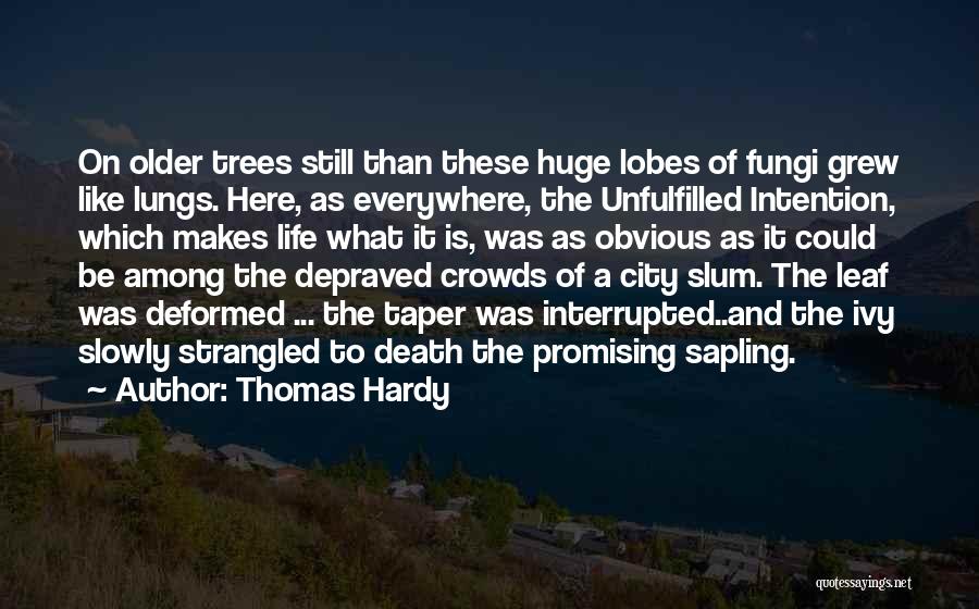 Depraved Quotes By Thomas Hardy