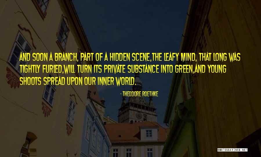 Depreciated Quotes By Theodore Roethke Depreciated Quotes By Theodore Roethke
