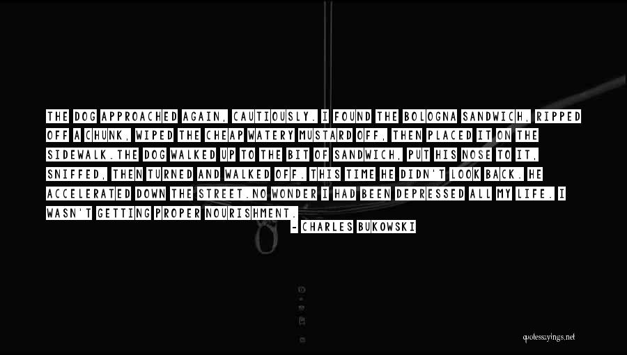 Depressed Life Quotes By Charles Bukowski Depressed Life Quotes By Charles Bukowski