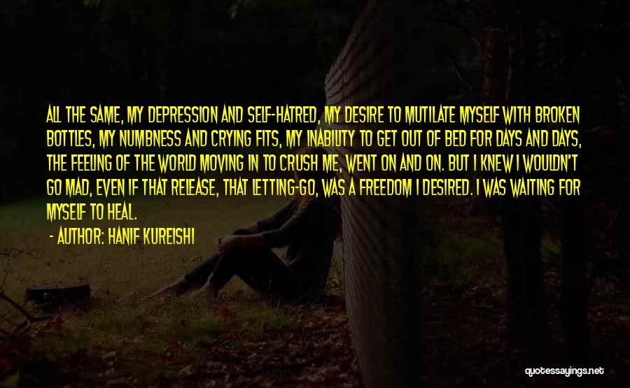 Depression And Crying Quotes By Hanif Kureishi