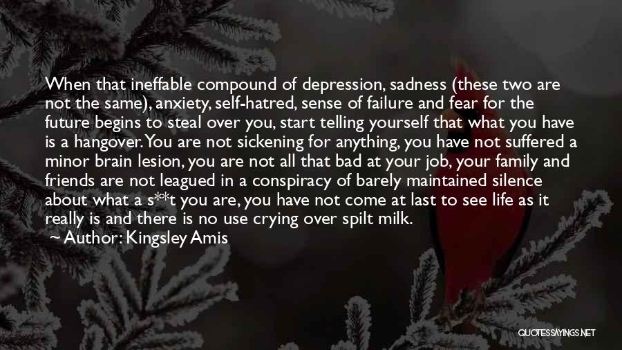 Depression And Crying Quotes By Kingsley Amis