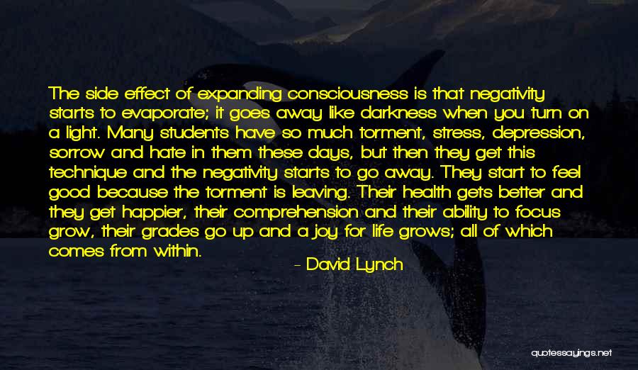 Depression And Life Quotes By David Lynch