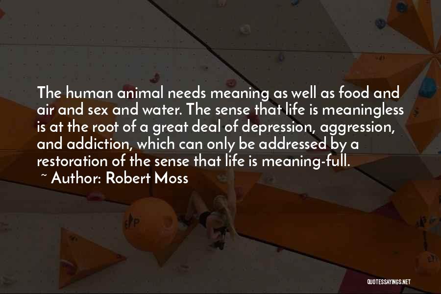 Depression And Life Quotes By Robert Moss