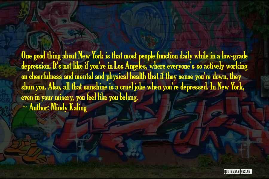 Depression And Mental Health Quotes By Mindy Kaling