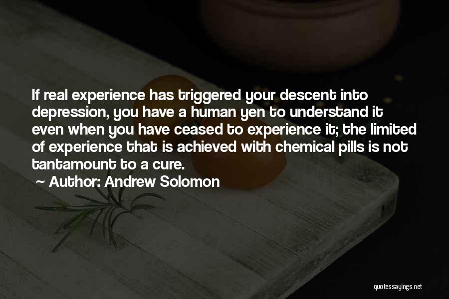 Depression Cure Quotes By Andrew Solomon