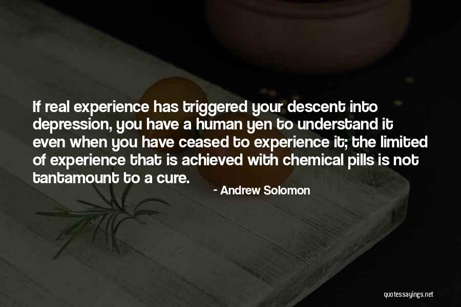 Depression Cure Quotes By Andrew Solomon