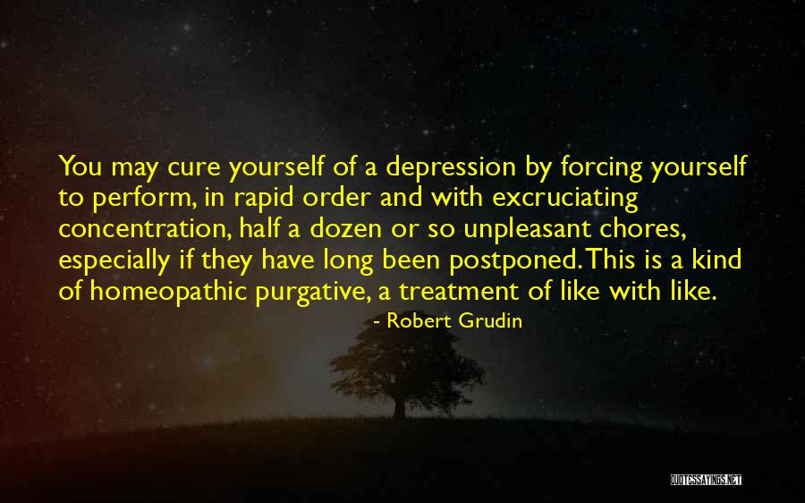 Depression Cure Quotes By Robert Grudin