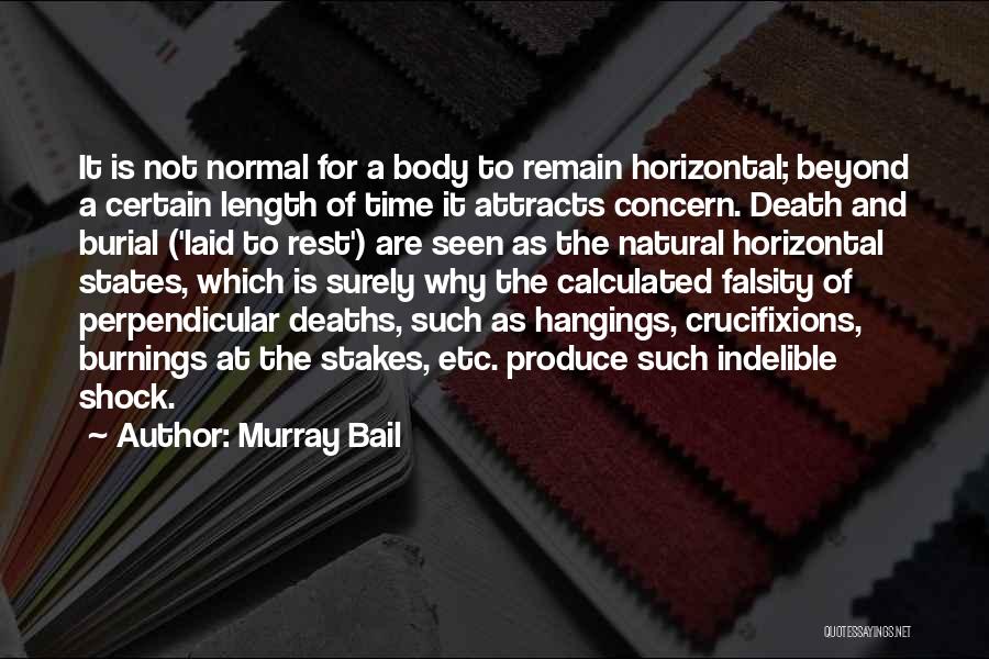 Depression Death Quotes By Murray Bail