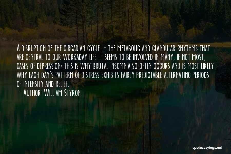 Depression In Life Quotes By William Styron