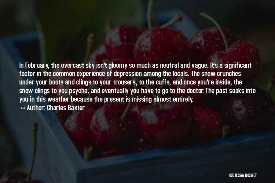 Depression Isn't Quotes By Charles Baxter