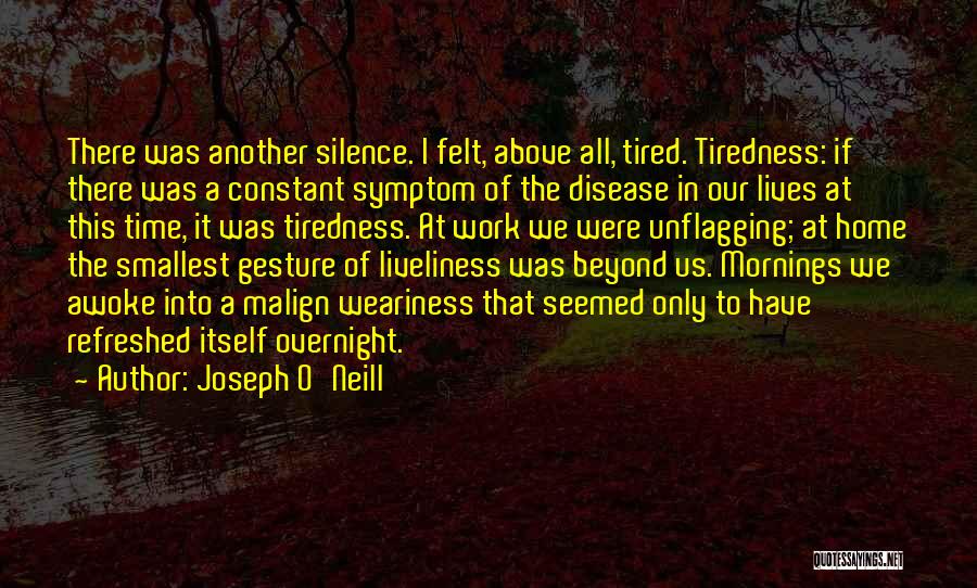 Depression Symptom Quotes By Joseph O'Neill