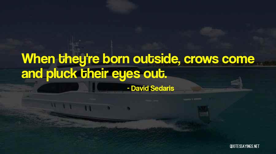 Deprime Before Or After Tumbling Quotes By David Sedaris