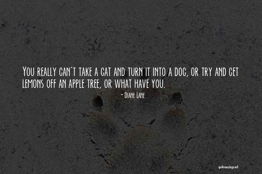 Deprinderile Motrice Quotes By Diane Lane Deprinderile Motrice Quotes By Diane Lane
