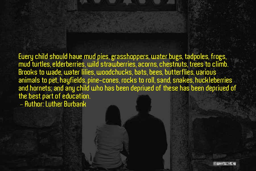 Deprived Education Quotes By Luther Burbank